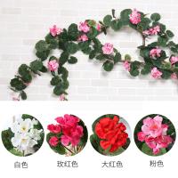 uploads/erp/collection/images/Home Garden/CongDing/XU0611411/img_b/XU0611411_img_b_3